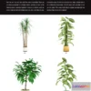 1264798 - Evermotion Archmodels Vol 075 [Houseplant]