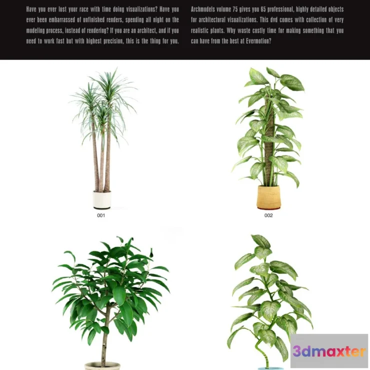 1264798 - Evermotion Archmodels Vol 075 [Houseplant]