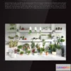 1264930 - Evermotion Archmodels Vol 141 [Houseplant]