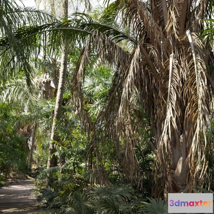 1537096 - Maxtree - Plant Models Vol 148 3D Max