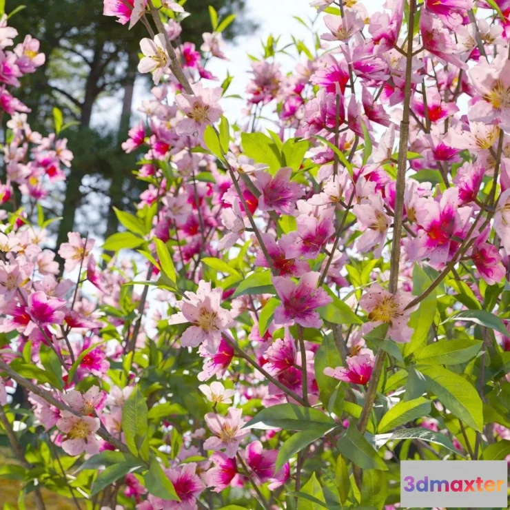 1537110 - Maxtree - Plant Models Vol 134 3D Max