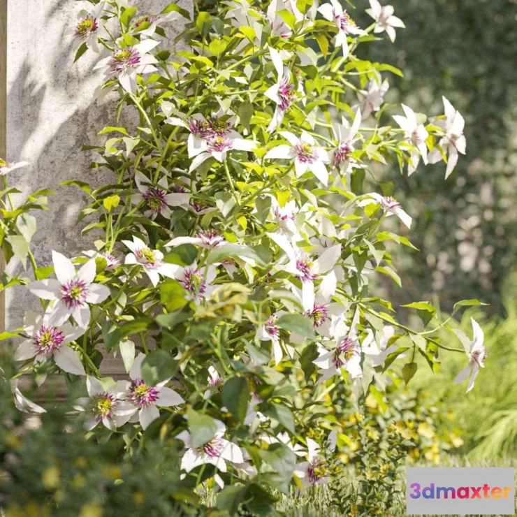 1537112 - Maxtree - Plant Models Vol 133 3D Max