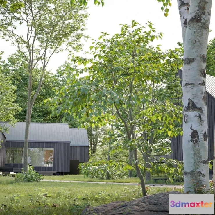 1537126 - Maxtree - Plant Models Vol 125 3D Max