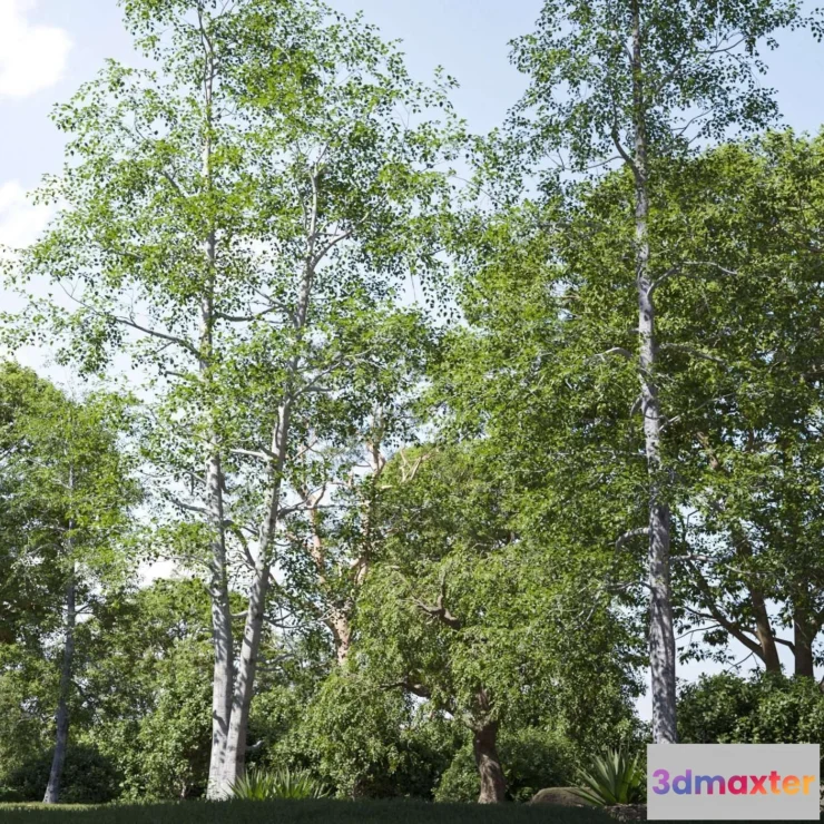 1537128 - Maxtree - Plant Models Vol 124 3D Max