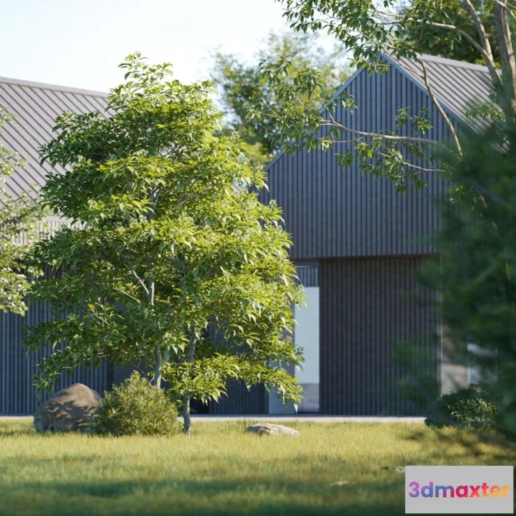 1537130 - Maxtree - Plant Models Vol 122 3D Max