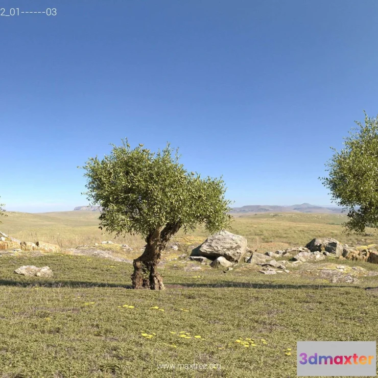 1537144 - Maxtree - Plant Models Vol 113 3D Max