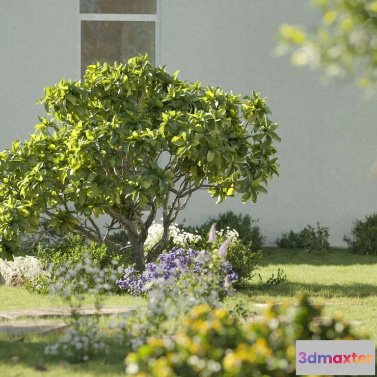 1537146 - Maxtree - Plant Models Vol 112 3D Max