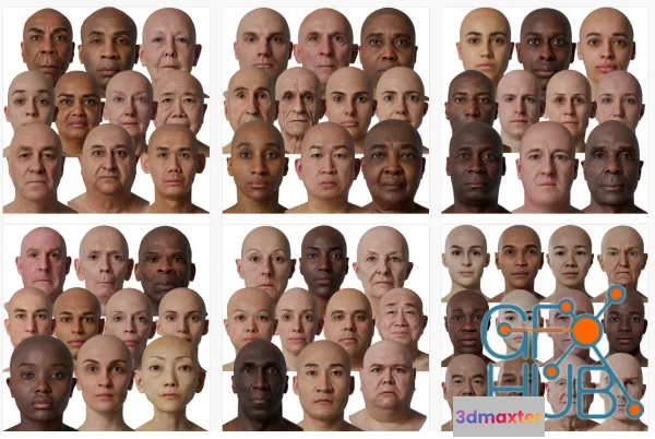 1537314 - 3D Scan Store - Male & Female 78x HD Head Scans Bundle 3D Max