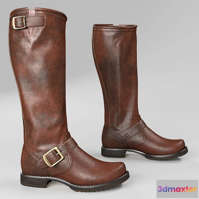 1565944 - Frye Veronica Slouch Womens Boots 3D Max