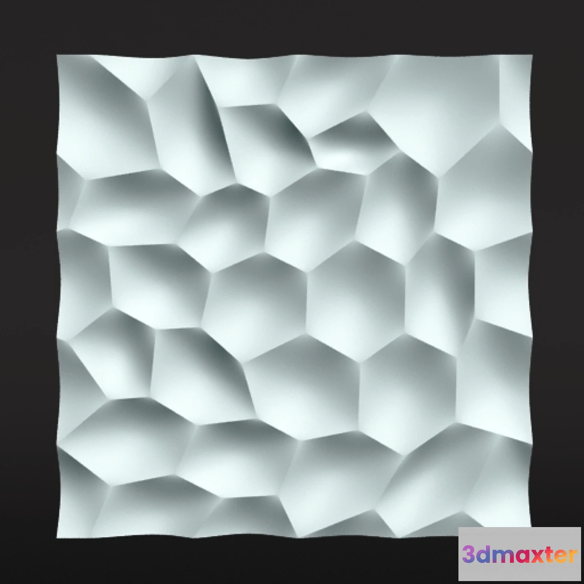 628733 - 3D panel SOTE