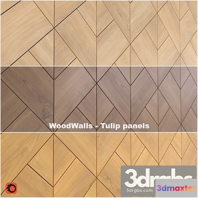 917158 - Woodwalls Tulip