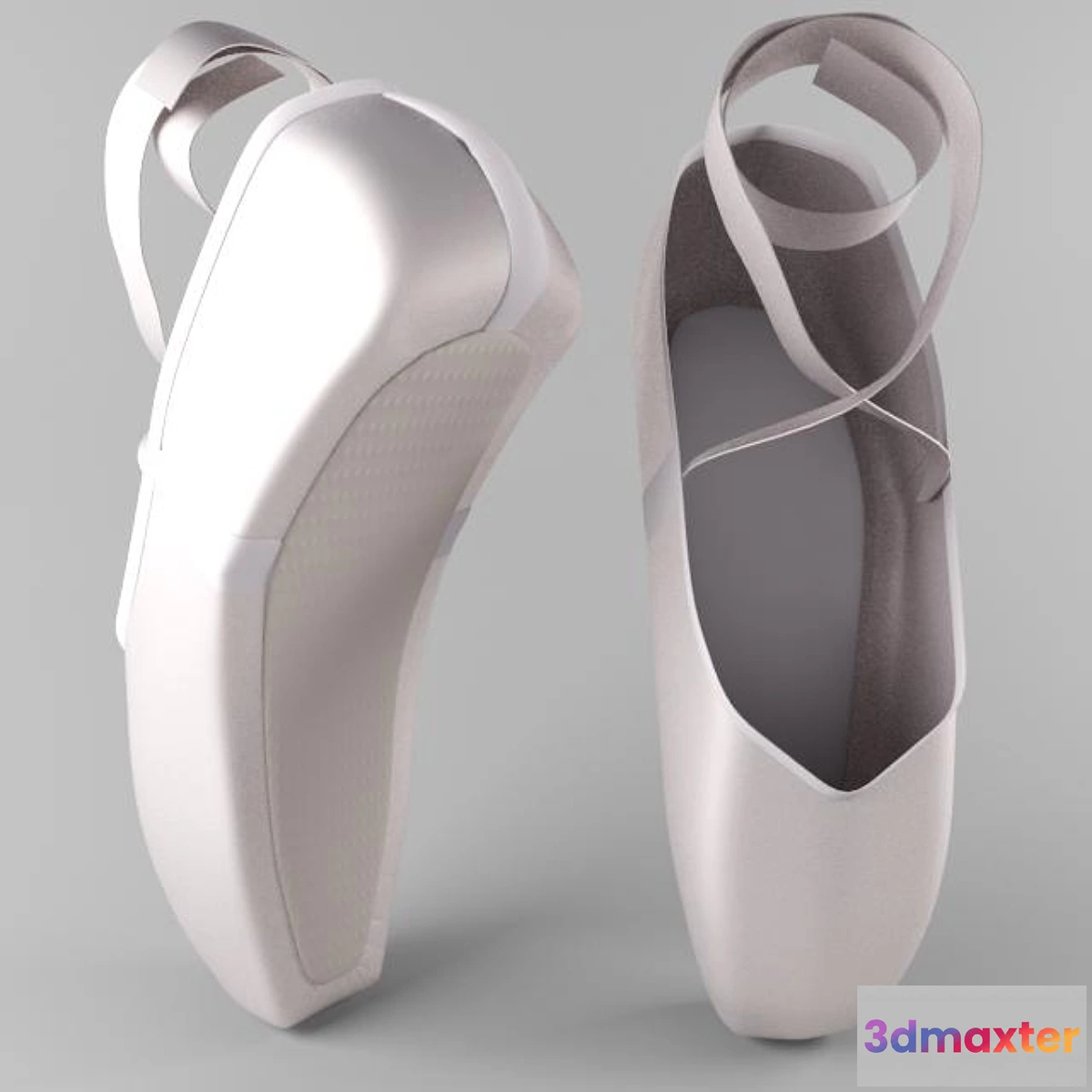629725 - Pointe Shoes