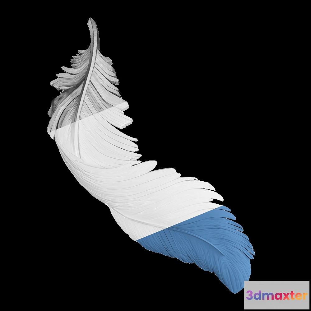 1592990 - Deco Line - Feather 3D Max