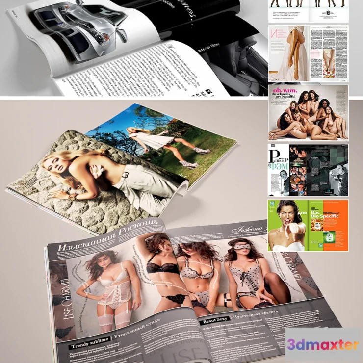 1287264 - Magazine 3D Max