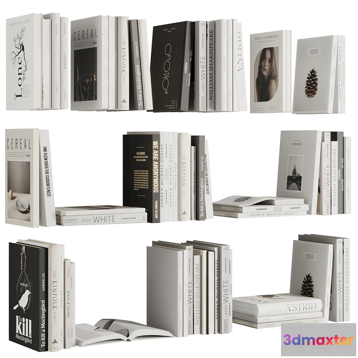 1322244 - Set of Books V1 - No.2 3D Max