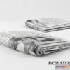 1392498 - newspaper 3D Max