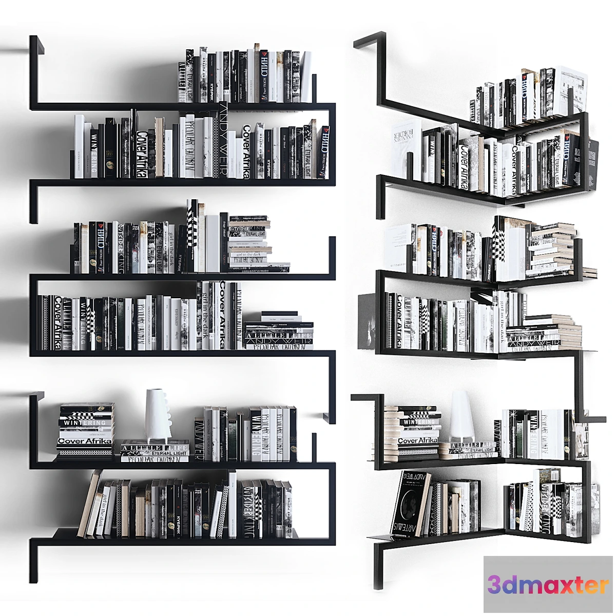 1427848 - Books on the shelves 3D Max
