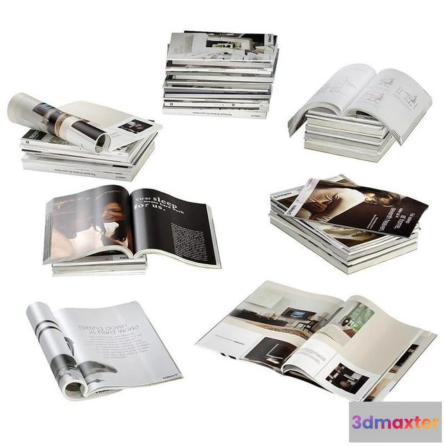 1551895 - Magazines 3D Max