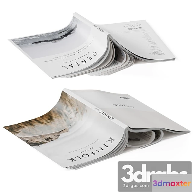 917256 - Magazines cover up