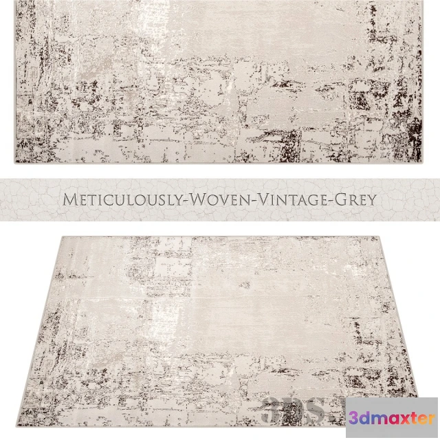 1594390 - decoration - Rug Meticulously Woven Vintage Gray 3D Max