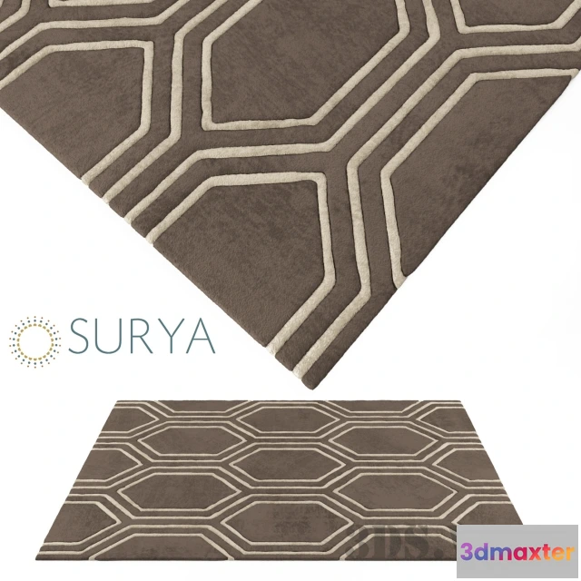 1594436 - decoration - Beautiful Surya rugs 3D Max