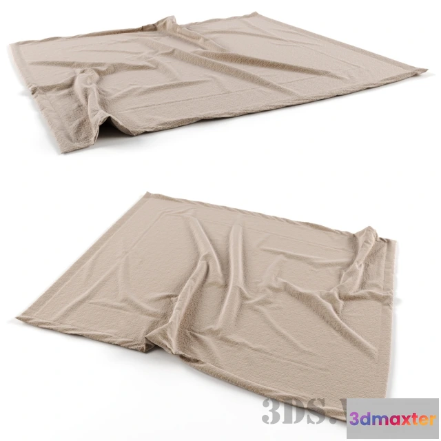 1594474 - decoration - Contemporary soft fabric rug 3D Max