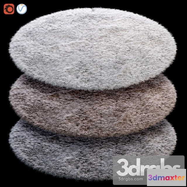918728 - Round Carpet 2011
