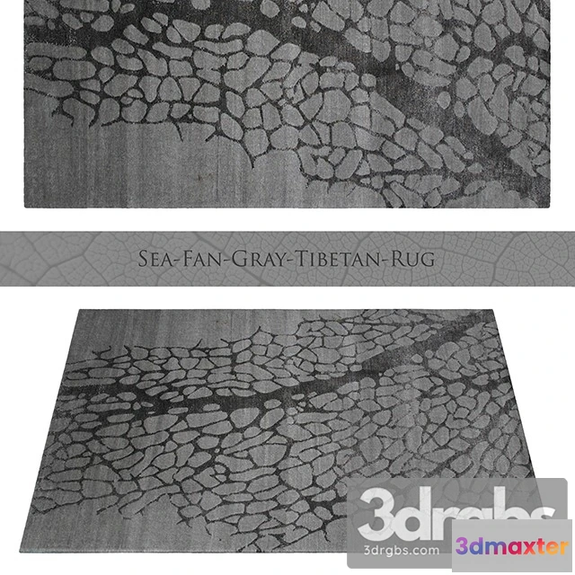 918966 - Sea Fan Gray Tibetan Rug