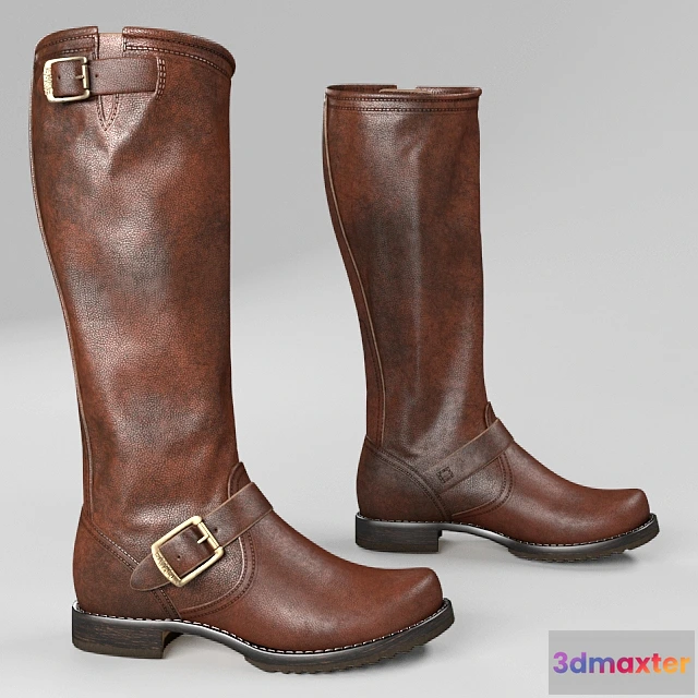 1594708 - decoration - Frye Veronica Slouch Womens Boots 3D Max