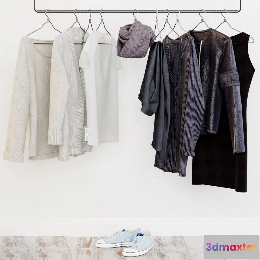 1594798 - decoration - Wardrobe in the Scandinavian interior 3D Max