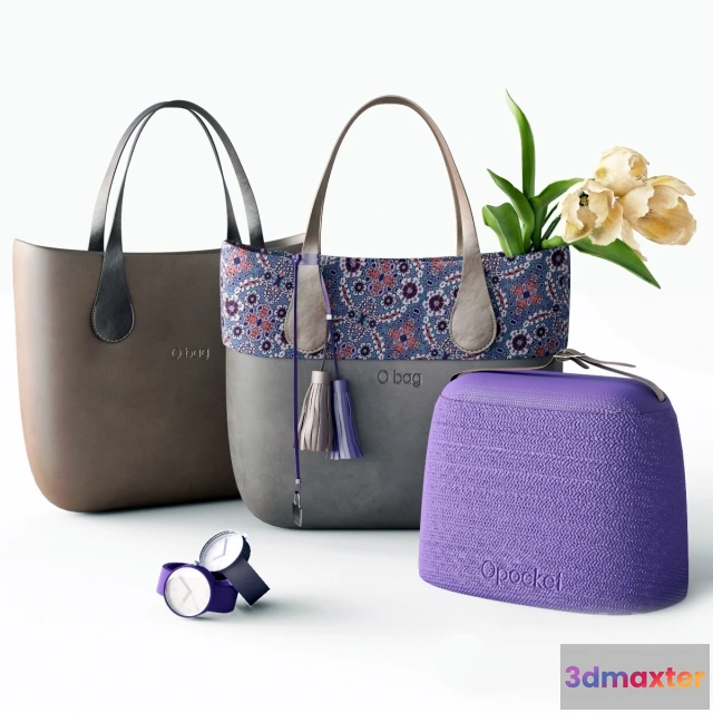 1594822 - decoration - Bags 021 3D Max