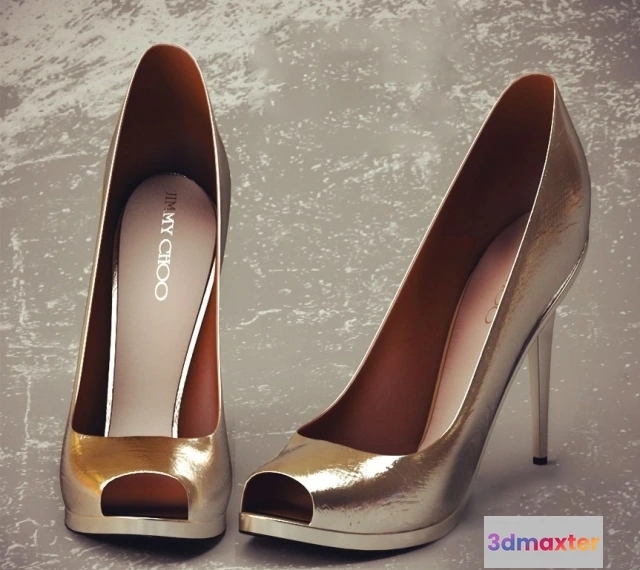 1594872 - decoration - Shoes 201 3D Max