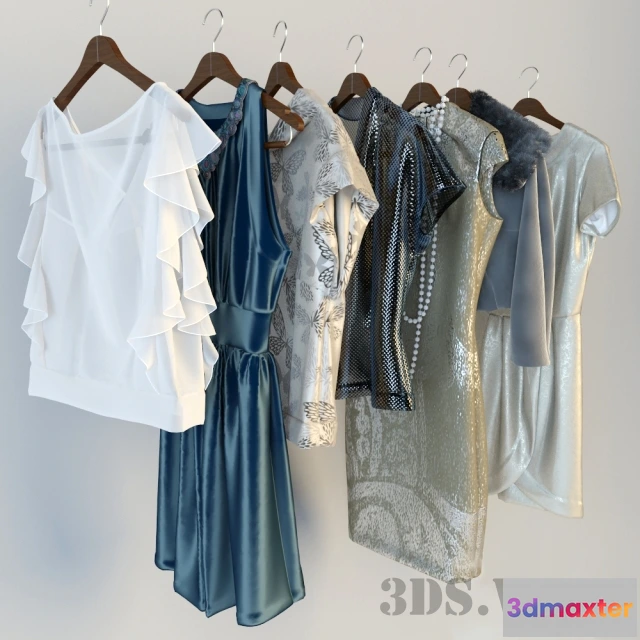 1595064 - decoration - Clothes on hangers 3D Max