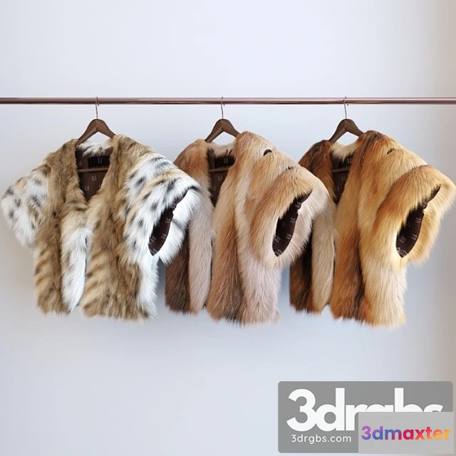 919540 - Clothes The 3 types of fur