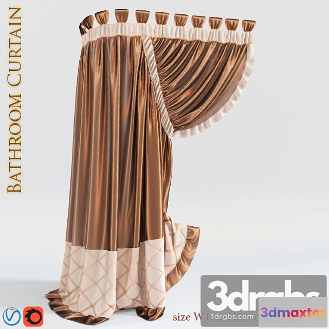 919724 - A Curtain in the Bathroom