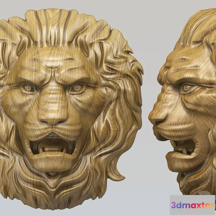 629063 - Lion