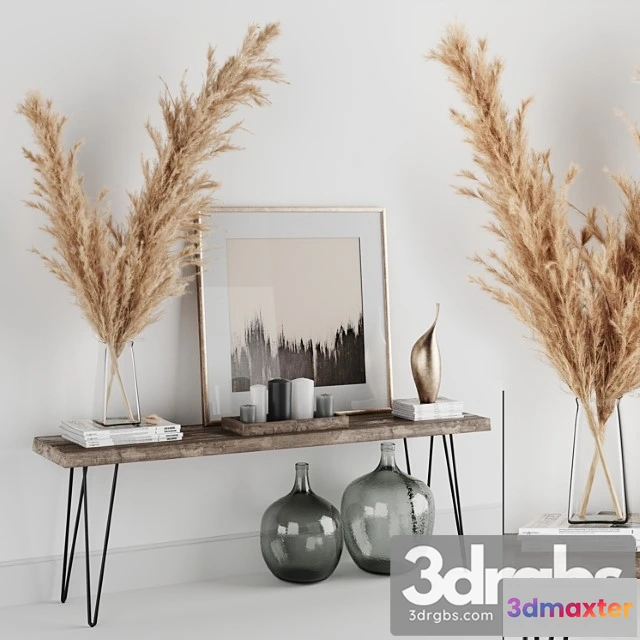 1019106 - Decoration set 01 pampas & console