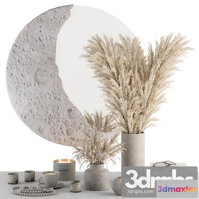 1019542 - Decorative set moon mirror with dried plant - set 100