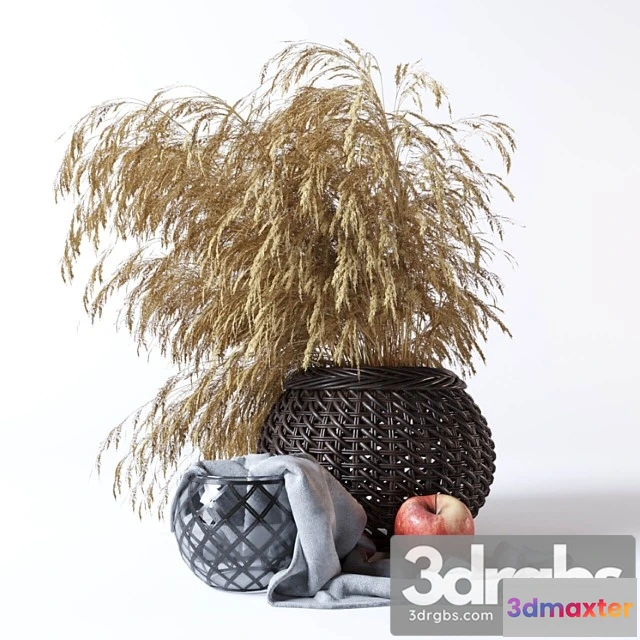 1019598 - Decorative set with dried flowers - No.2