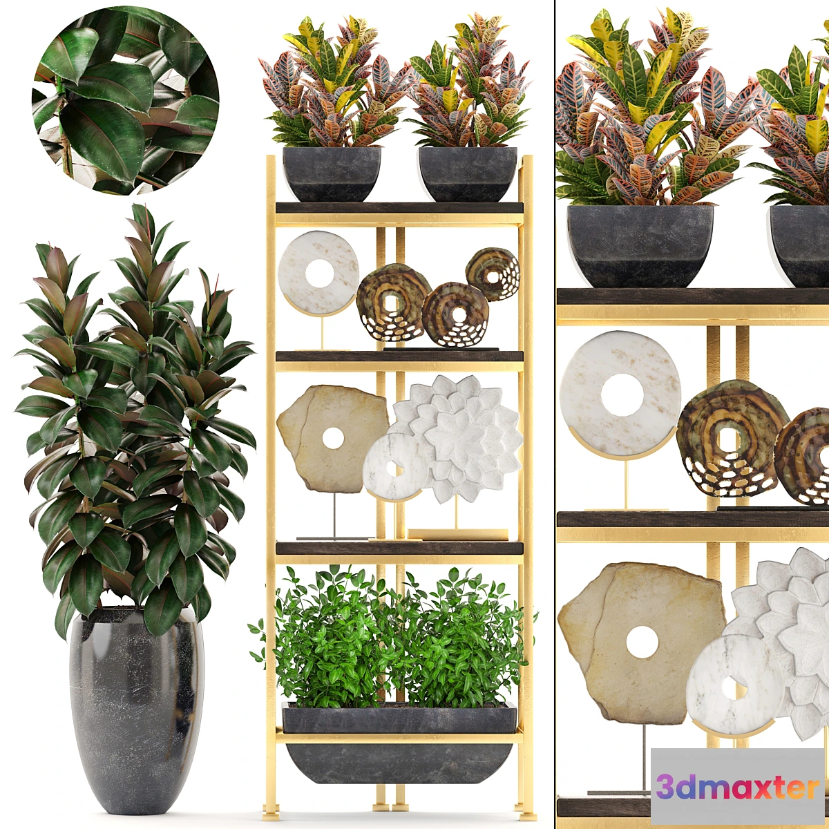 1331374 - Decorative set. 5. Shelf decor discs figurine Ficus flowerpot croton shelf with flowers luxury 3D Max