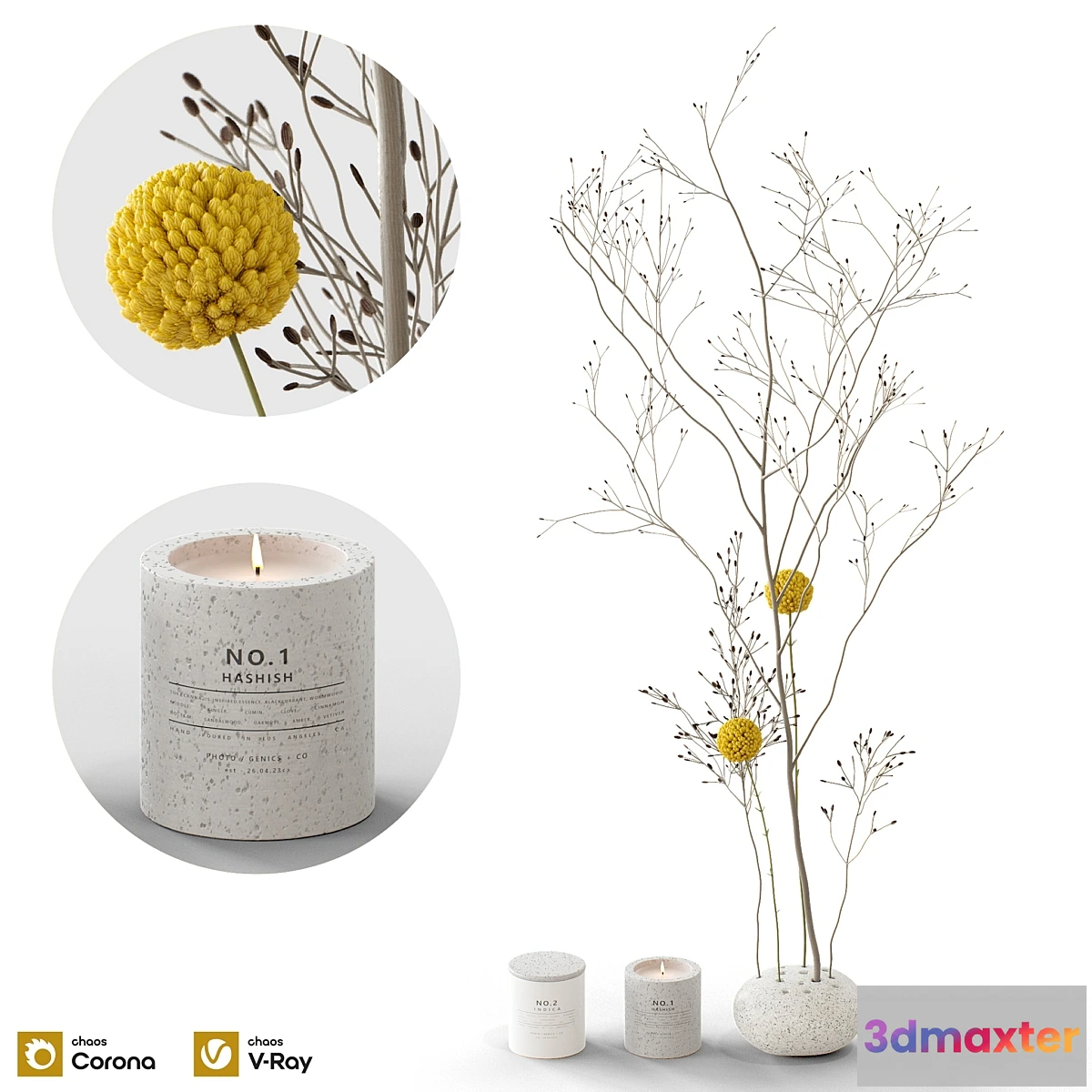 1348090 - Decorative set 58 branch and candles 3D Max