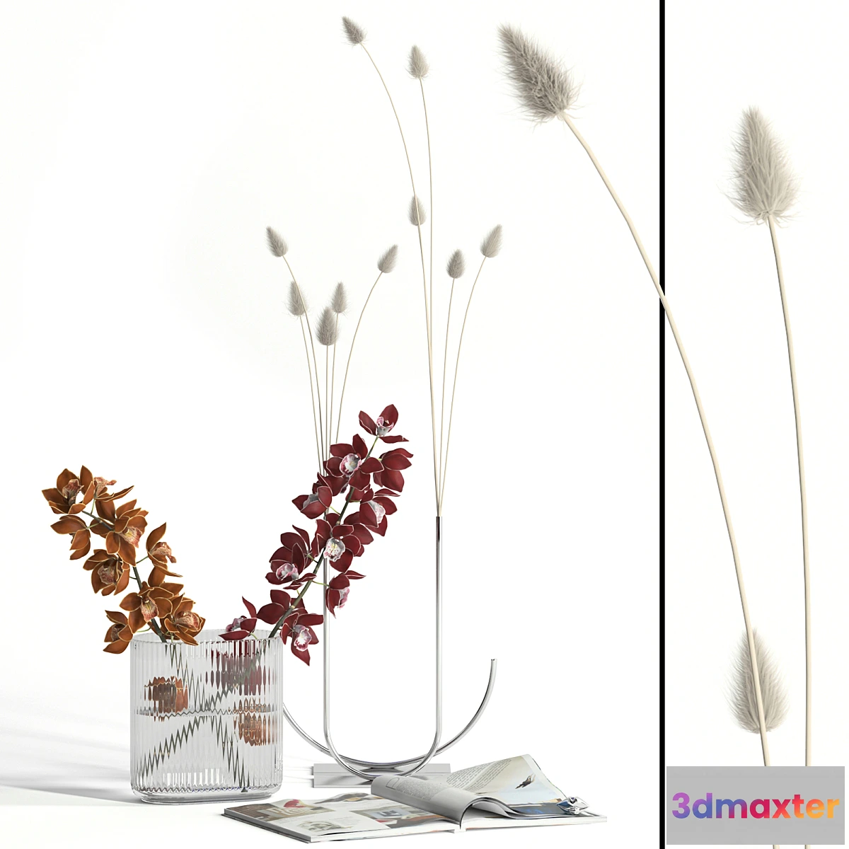 1409198 - Cymbidium & lagurus decor 3D Max