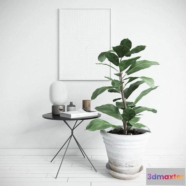 1538880 - Scandy Set 3D Max