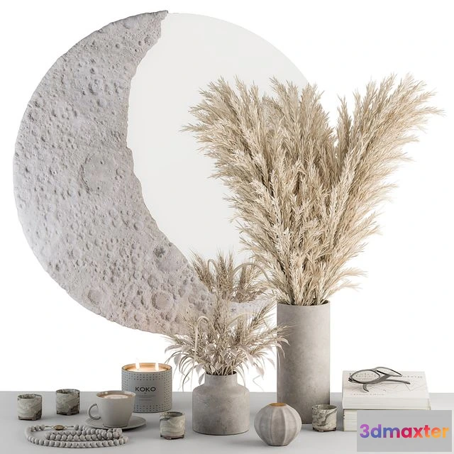 1540561 - Decorative Set moon mirror with Dried Plant - Set 100 3D Max