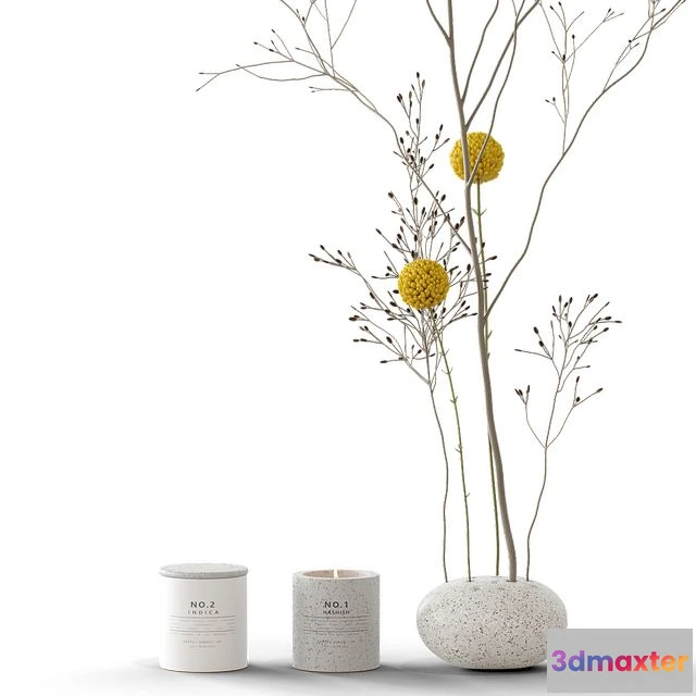 1545716 - Decorative set 58 branch and candles 3D Max