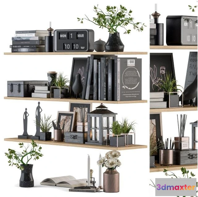 1558217 - Decorative Set on Shelves 3D Max