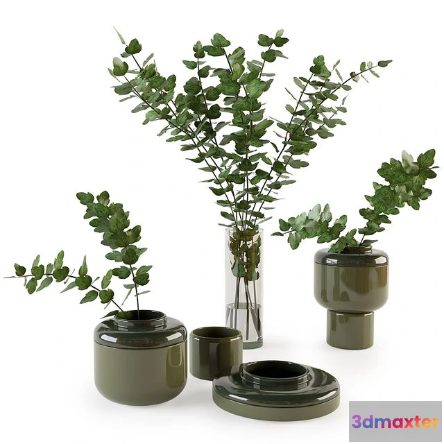 1563719 - Decorative set with plants 3D Max