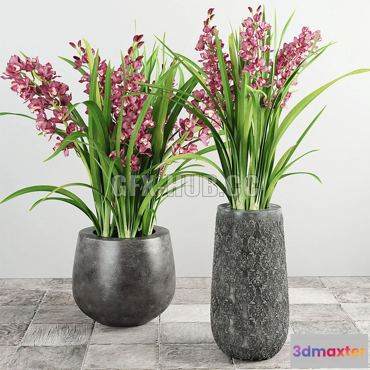 1565688 - Cymbidium Orchid 3D Max