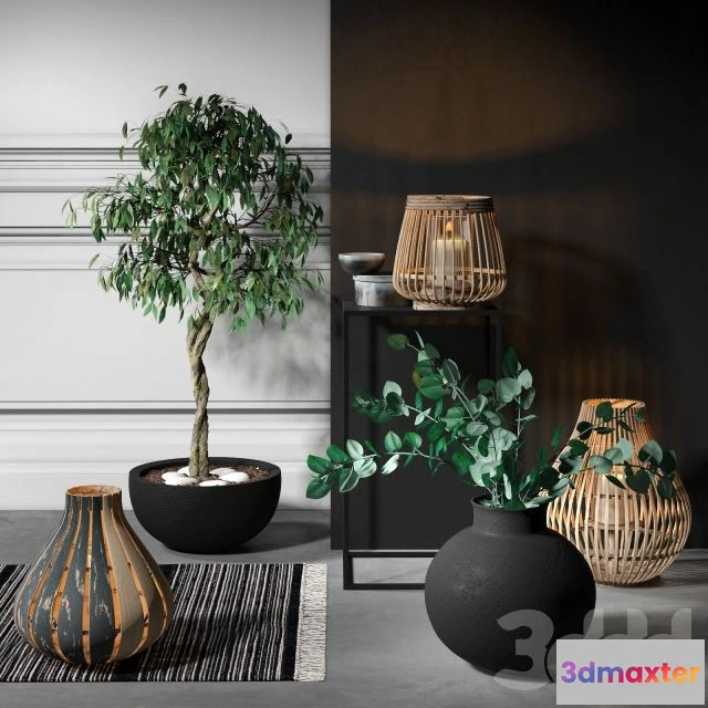 1568048 - Decorative set with candles and plants 3D Max