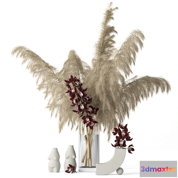 1598576 - decoration - Pampas grass and Cymbidium 3D Max